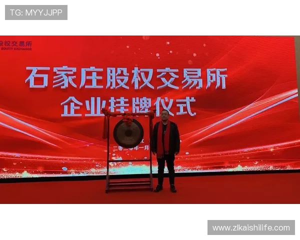 新手必看,凯时首页登录入口的安全性与便利性全面解析