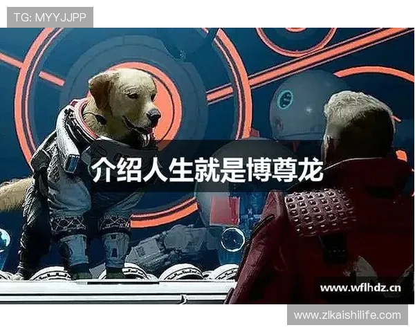 人生就是博尊龙官网网页版:提升生活品质与精神追求的实用策略